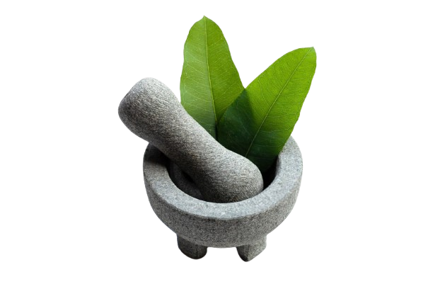 Home ayurveda removebg preview.png