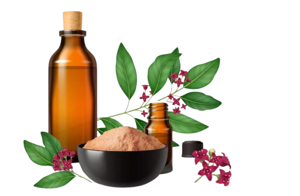 Home medi ni removebg preview.png